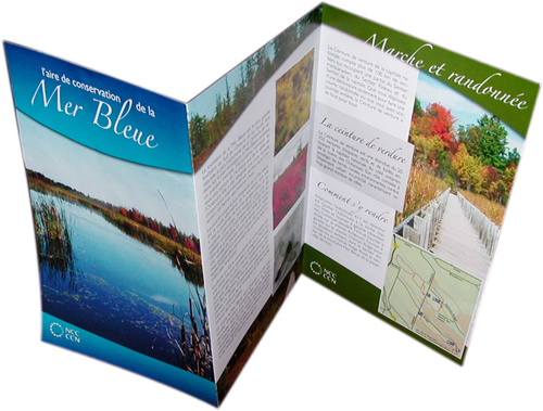 Mer Bleu Fold