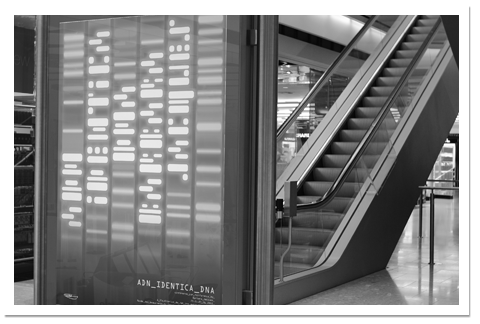 Affiche ADN Identica