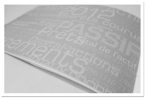 Rapport Annuel Desjardins